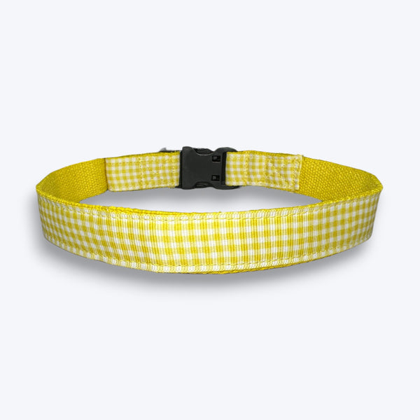 Lemonade Dog Collar