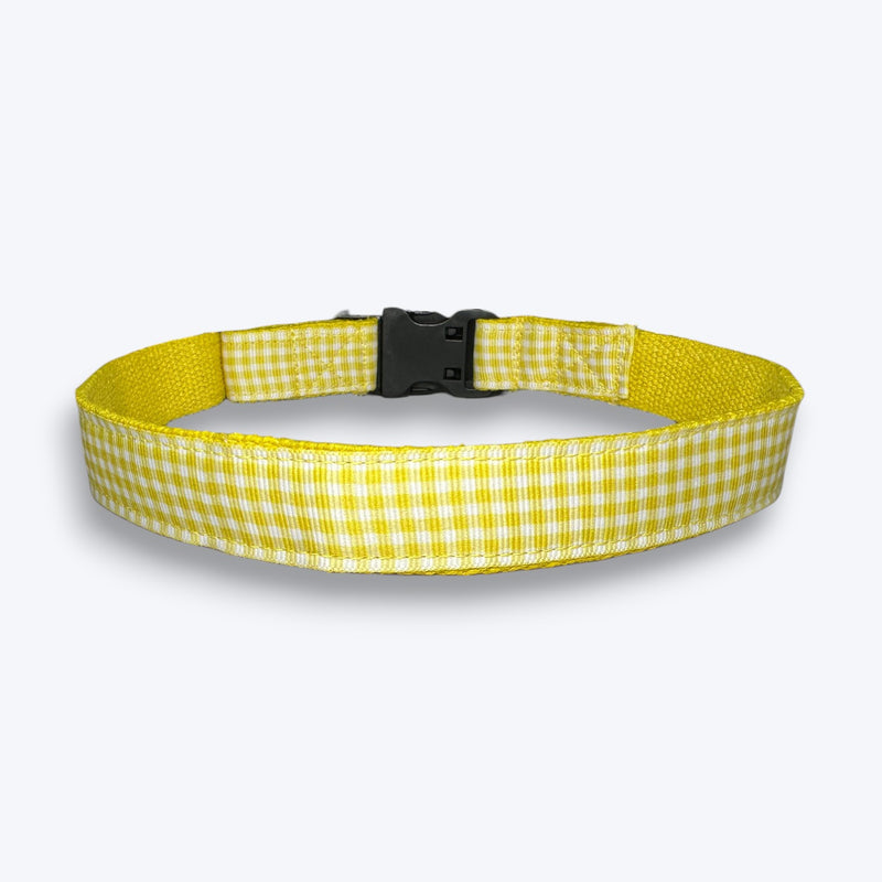 Lemonade Dog Collar