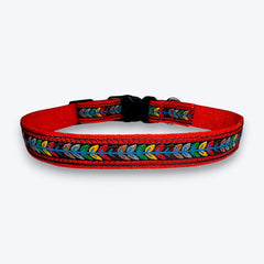 Jungle Jam Dog Collar