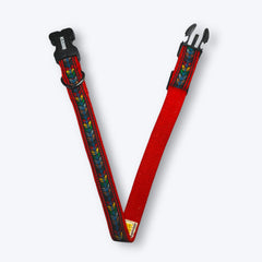 Jungle Jam Dog Collar