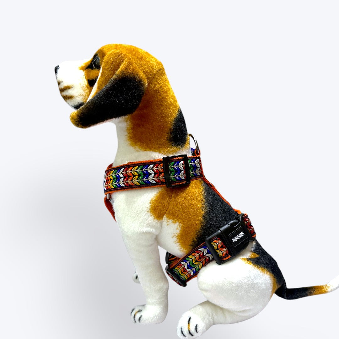 Colourful Trail Body Belt