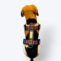 Colourful Trail Body Belt