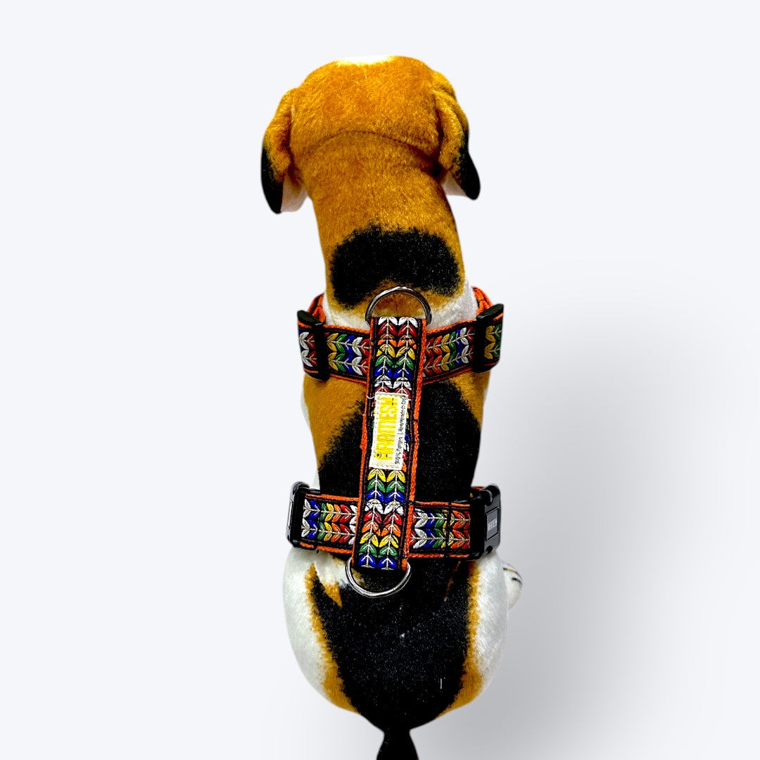 Colourful Trail Body Belt