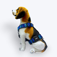 Skywave Body Belt