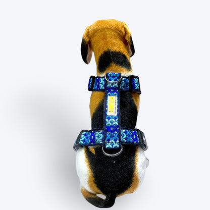 Skywave Body Belt