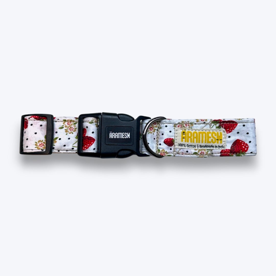 Garden Fresh Dog Collar