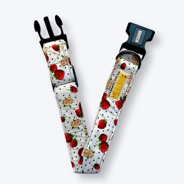 Garden Fresh Dog Collar