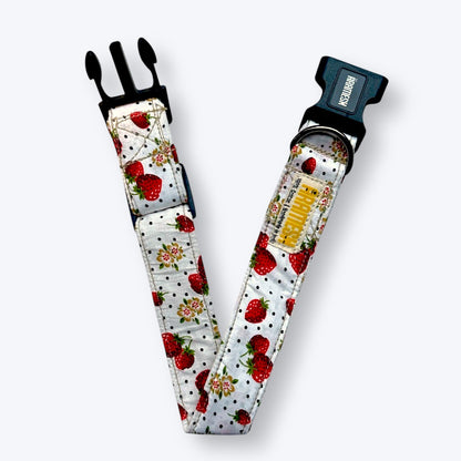 Garden Fresh Dog Collar