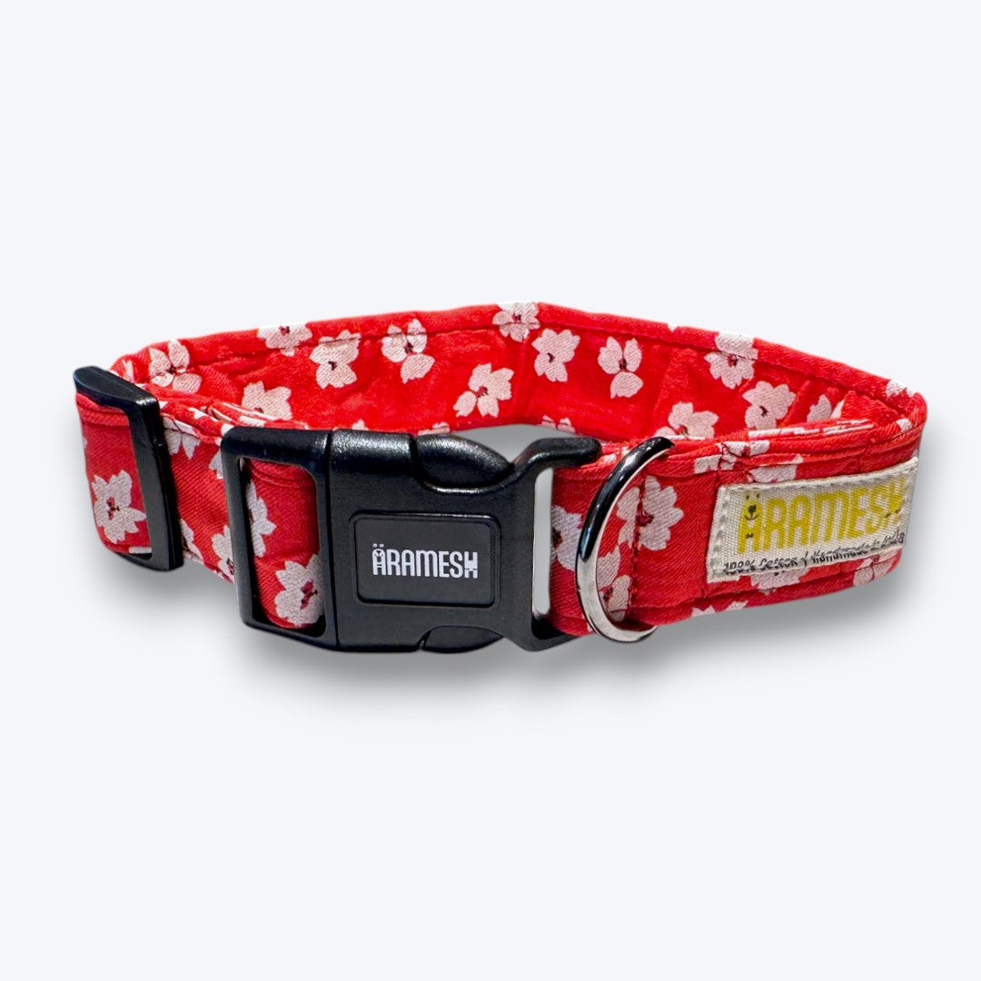 Cherry Blossom Dog Collar & Leash