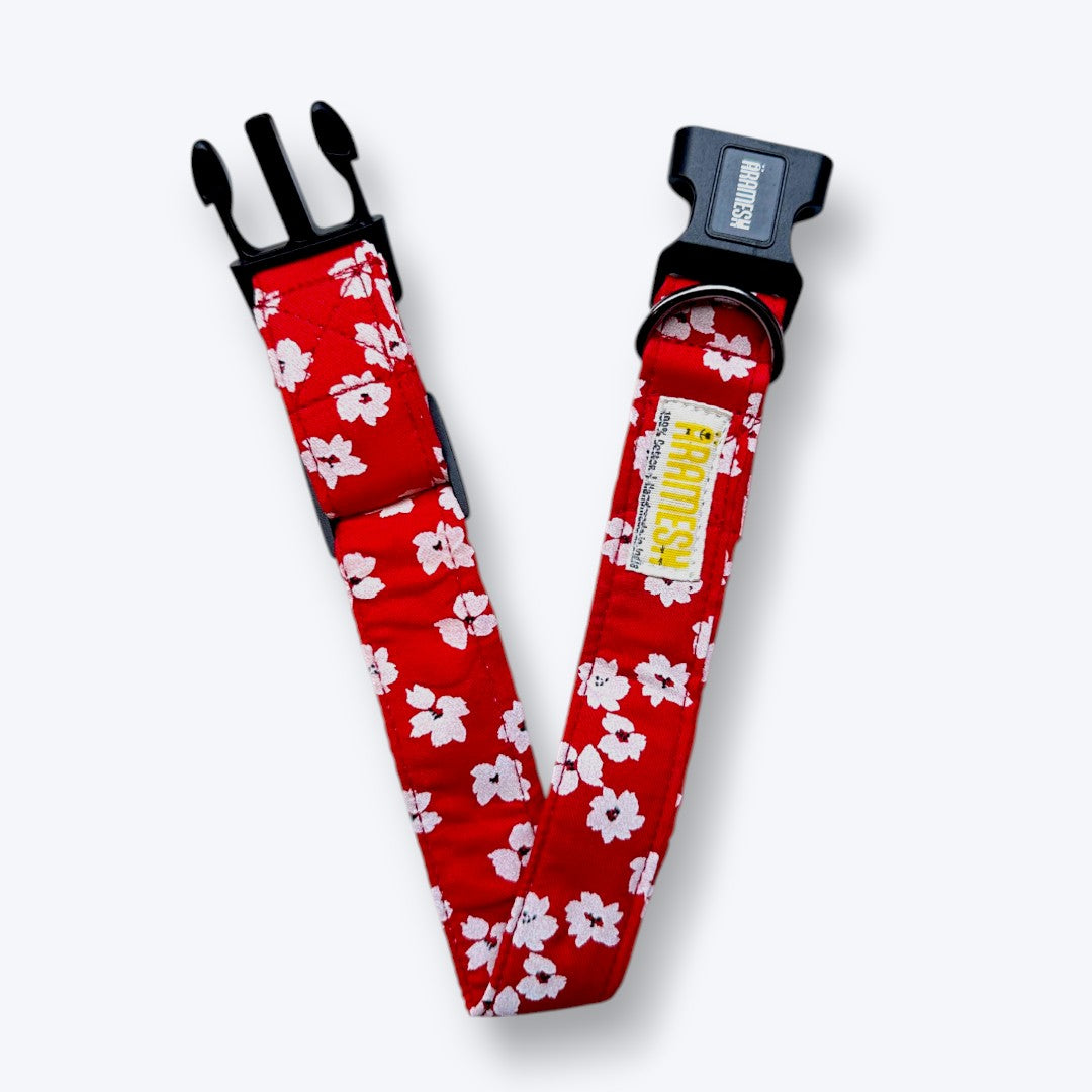 Cherry Blossom Dog Collar