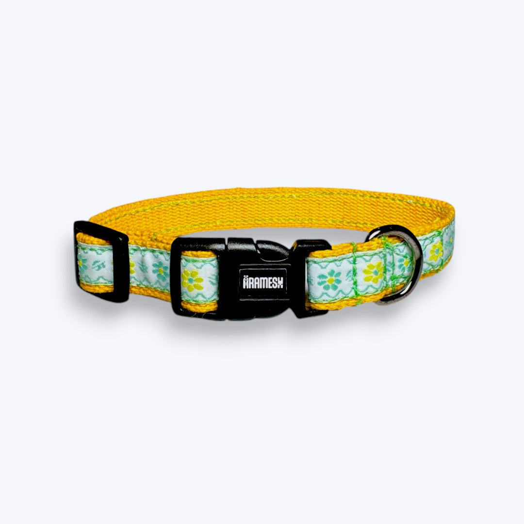 Lemon Blossom Cat Collar & Leash Set