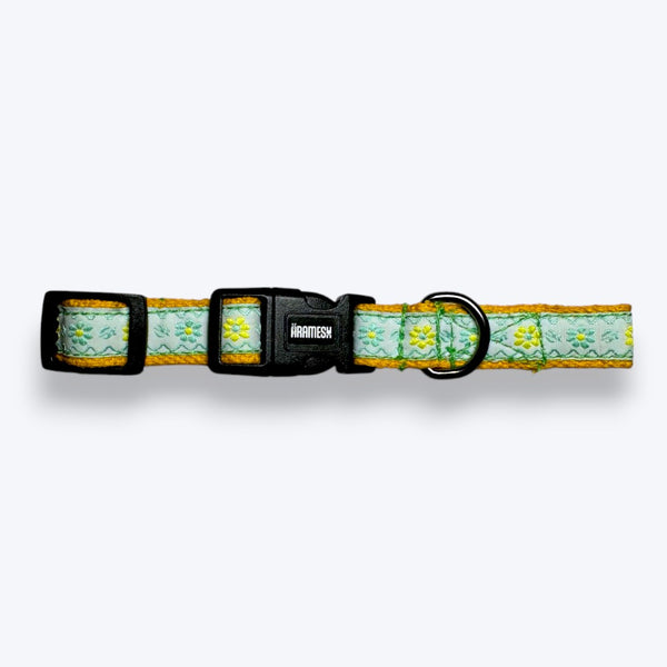 Lemon Blossom Cat Collar