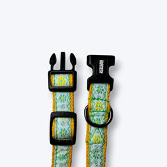 Lemon Blossom Cat Collar & Leash Set