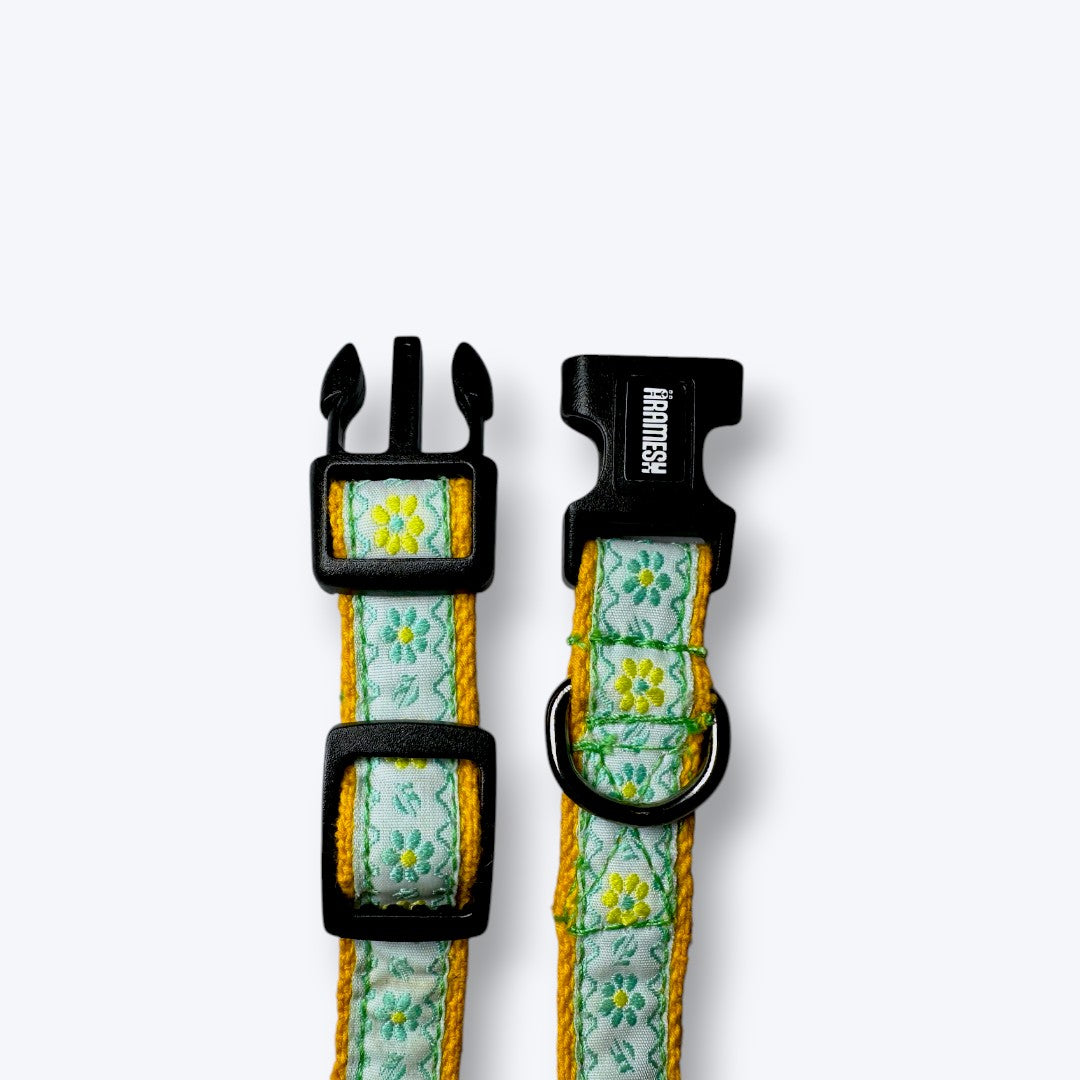 Lemon Blossom Cat Collar & Leash Set