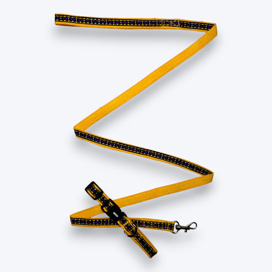 Amber Paws Cat Collar & Leash Set