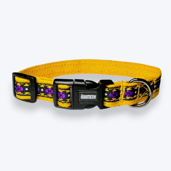Amber Paws Cat Collar