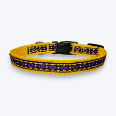 Amber Paws Cat Collar & Leash Set