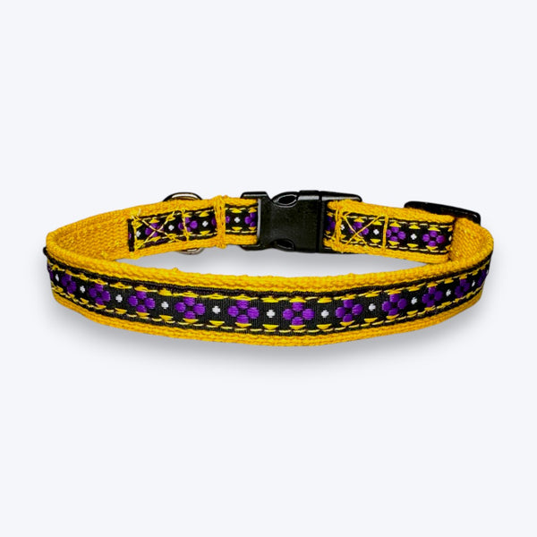 Puppy Collar: Amber Paws