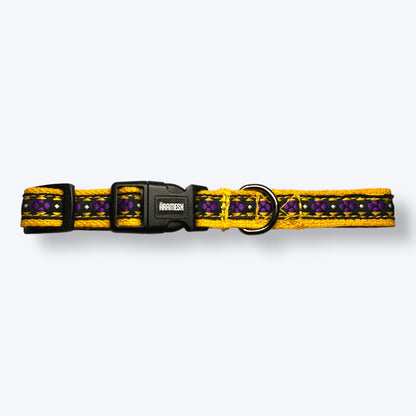 Amber Paws Cat Collar & Leash Set