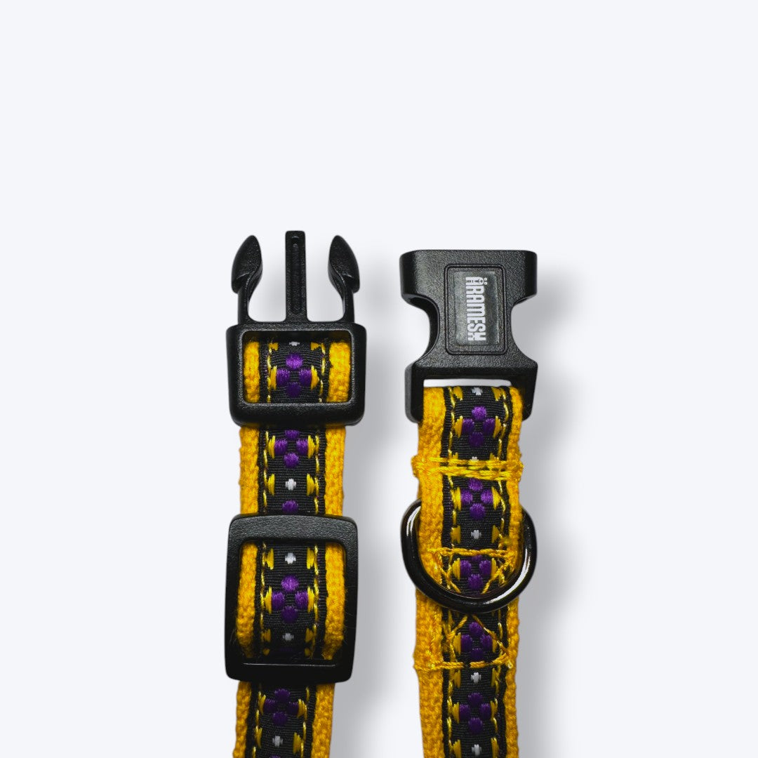Amber Paws Cat Collar & Leash Set