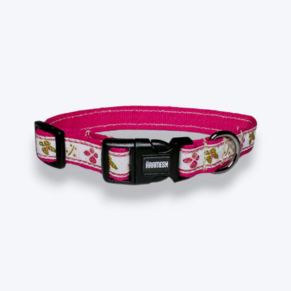 Garden Whisper Cat Collar & Leash Set