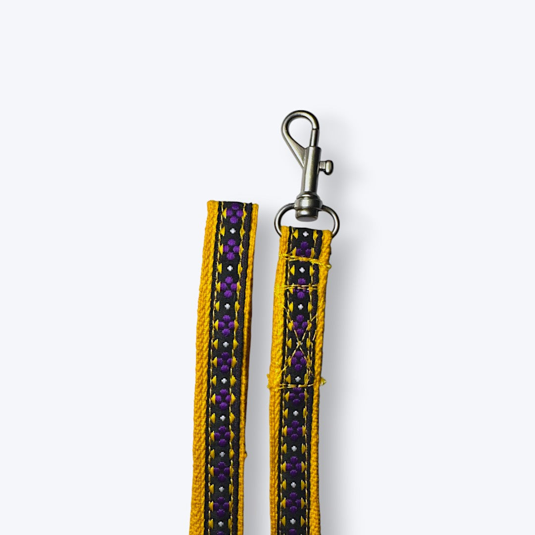 Amber Paws Cat Collar & Leash Set