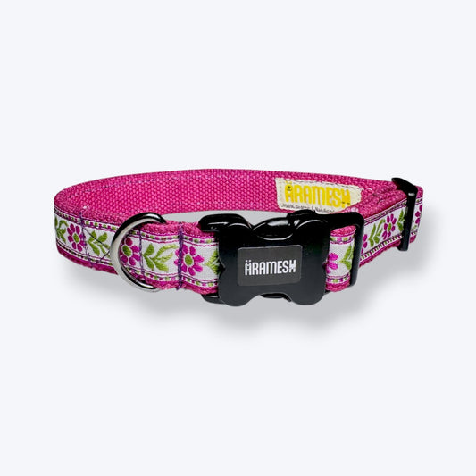 Lavender Sunshine Dog Collar
