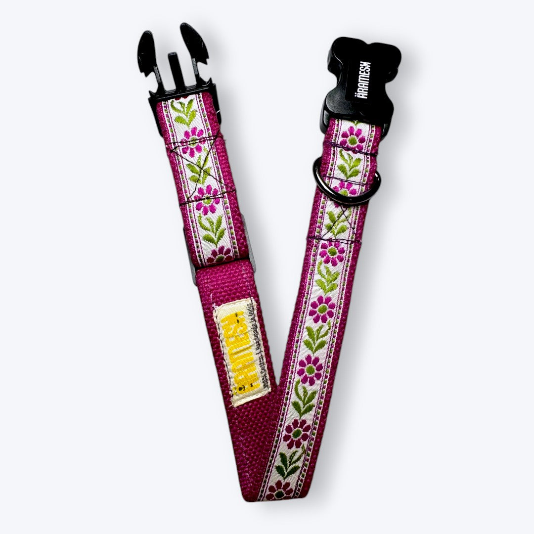Lavender Sunshine Dog Collar