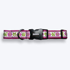 Lavender Sunshine Dog Collar