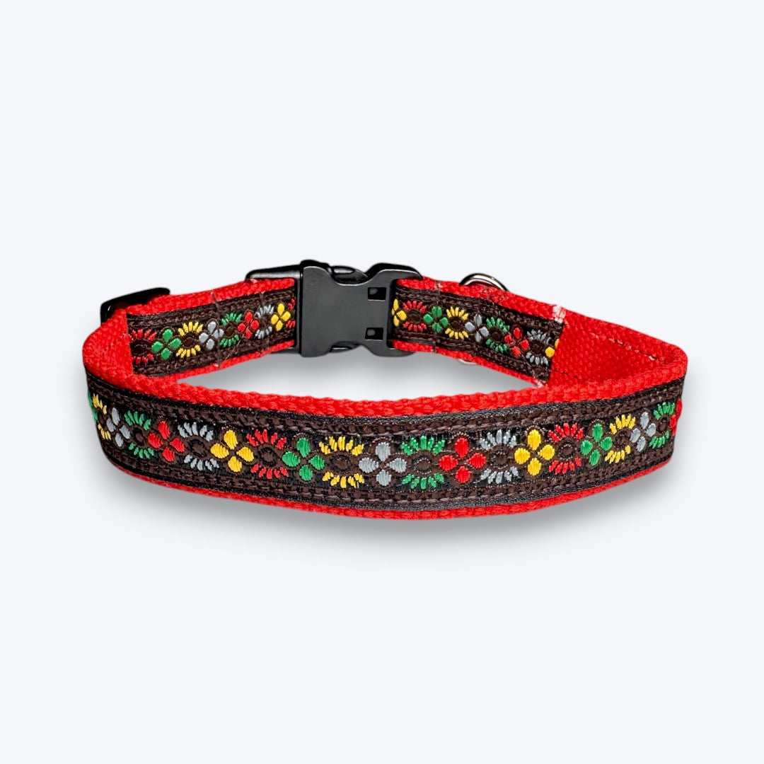 Bold Barker Dog Collar & Leash