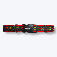 Bold Barker Dog Collar & Leash