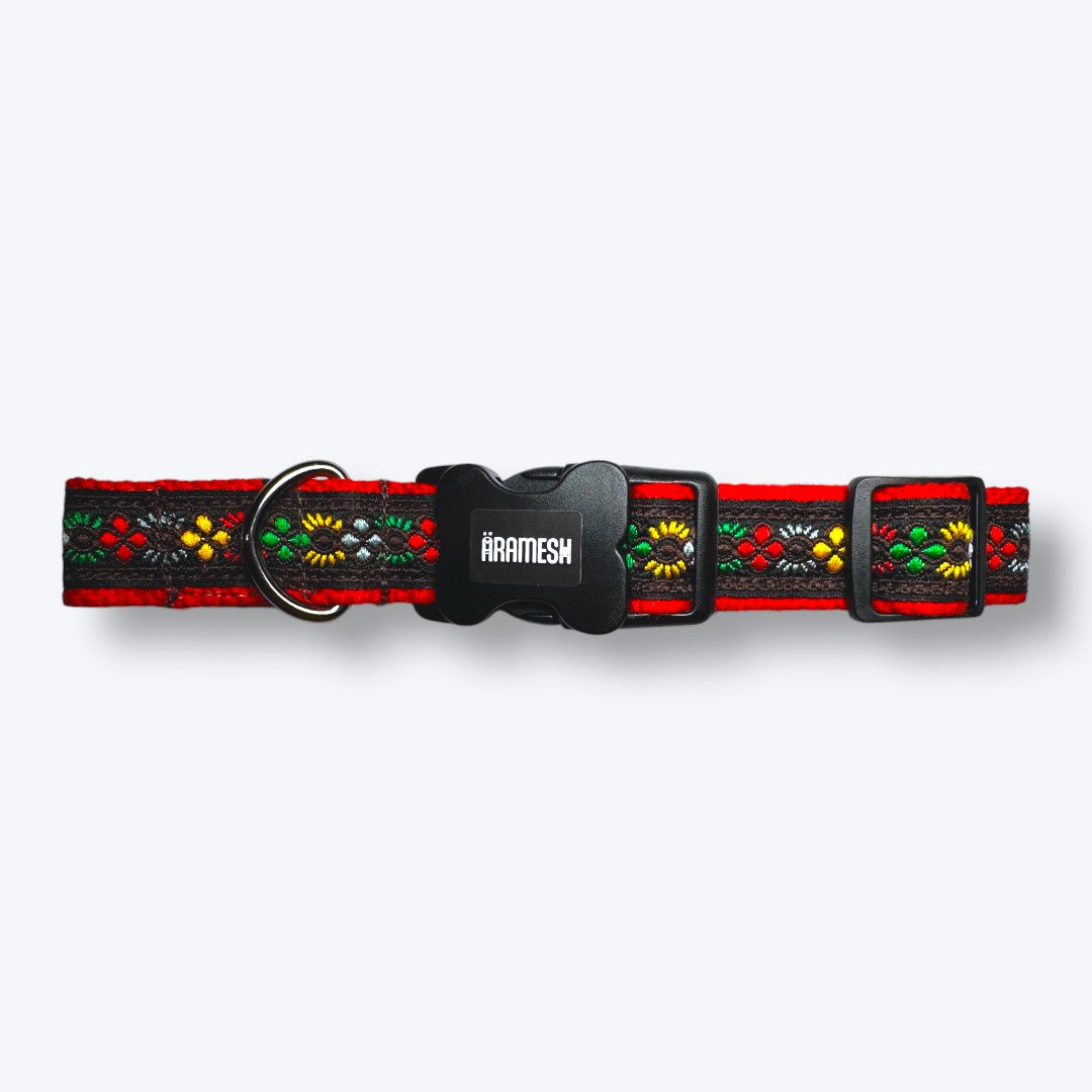 Bold Barker Dog Collar & Leash