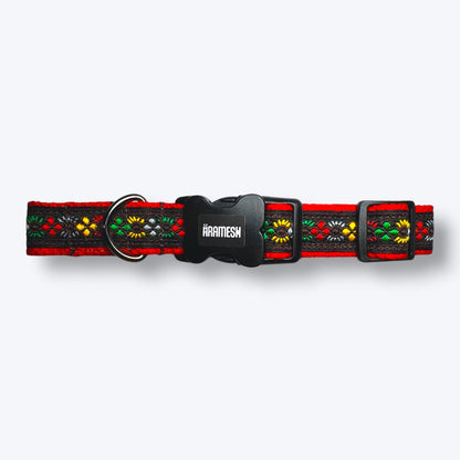 Bold Barker Dog Collar & Leash