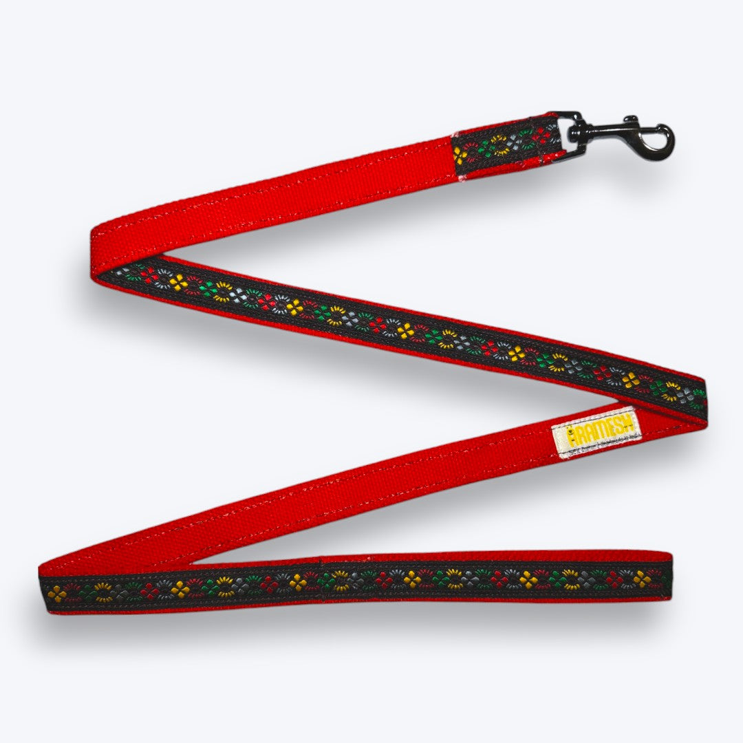 Bold Barker Dog Collar & Leash