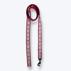 Lavender Sunshine Dog Collar & Leash