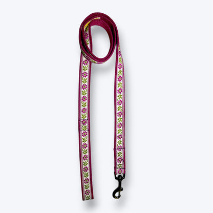 Lavender Sunshine Dog Collar & Leash