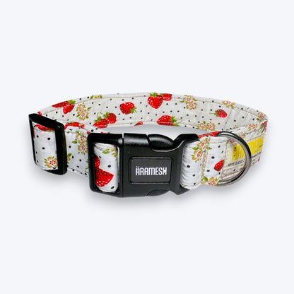 Garden Fresh Dog Collar