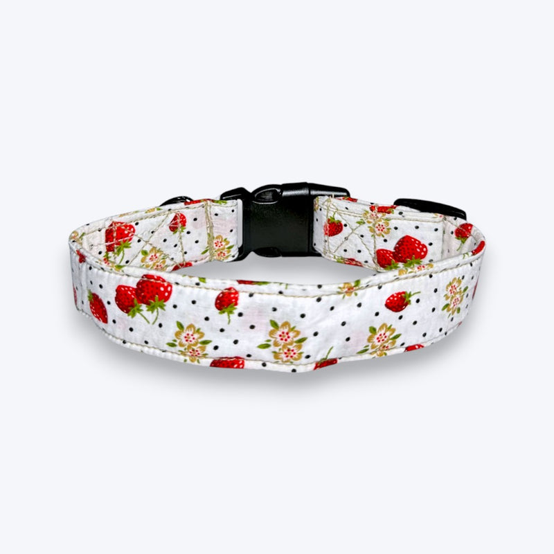 Garden Fresh Dog Collar