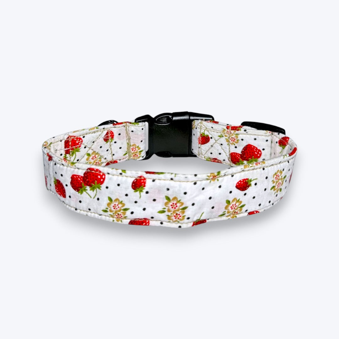 Garden Fresh Dog Collar