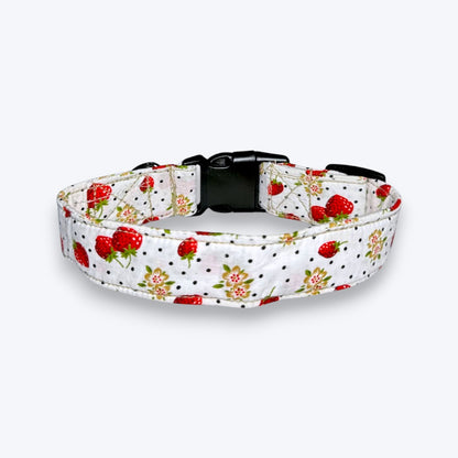 Garden Fresh Dog Collar