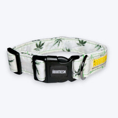 Hempy Hues Dog Collar