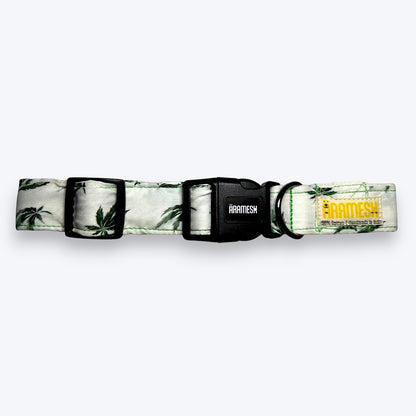 Hempy Hues Dog Collar