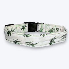 Hempy Hues Dog Collar