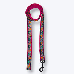 Electric Bloom Dog Leash