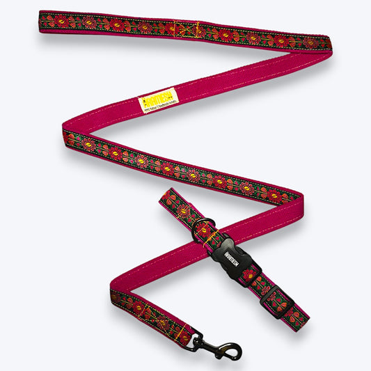 Emerald Glow Dog Collar & Leash