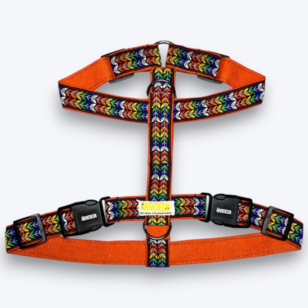 Colourful Trail Body Belt