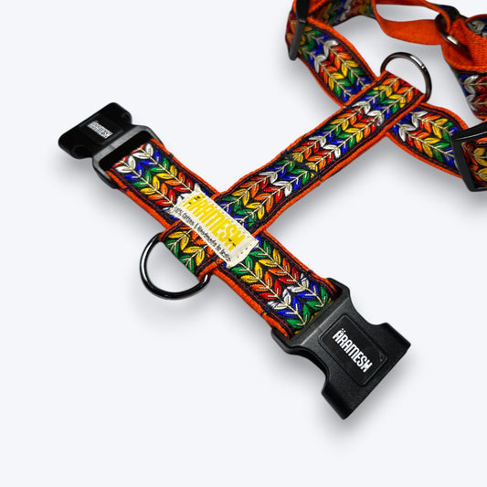 Colourful Trail Body Belt