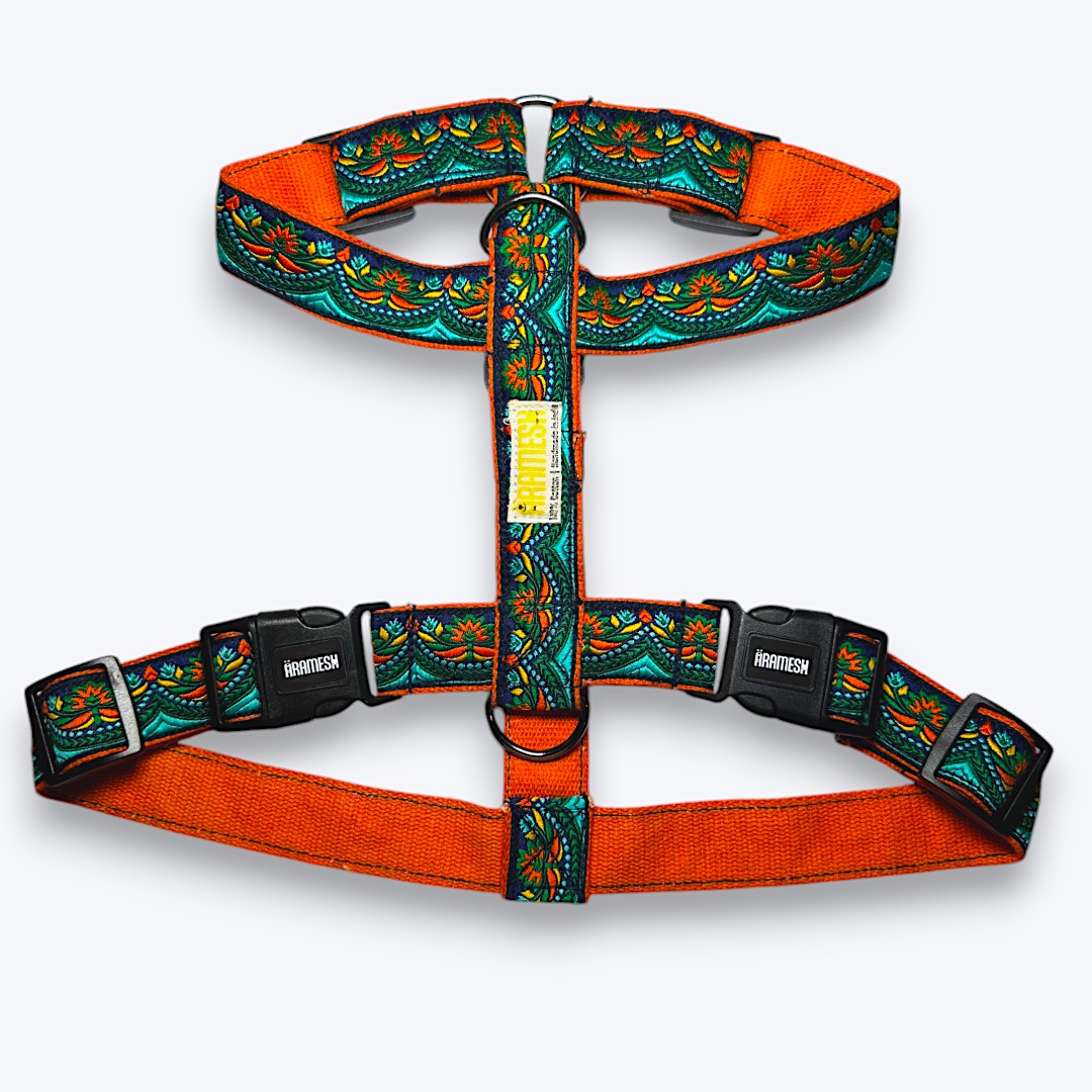 Fire & Ice Body Belt