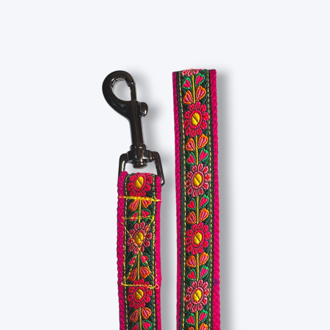 Emerald Glow Dog Collar & Leash