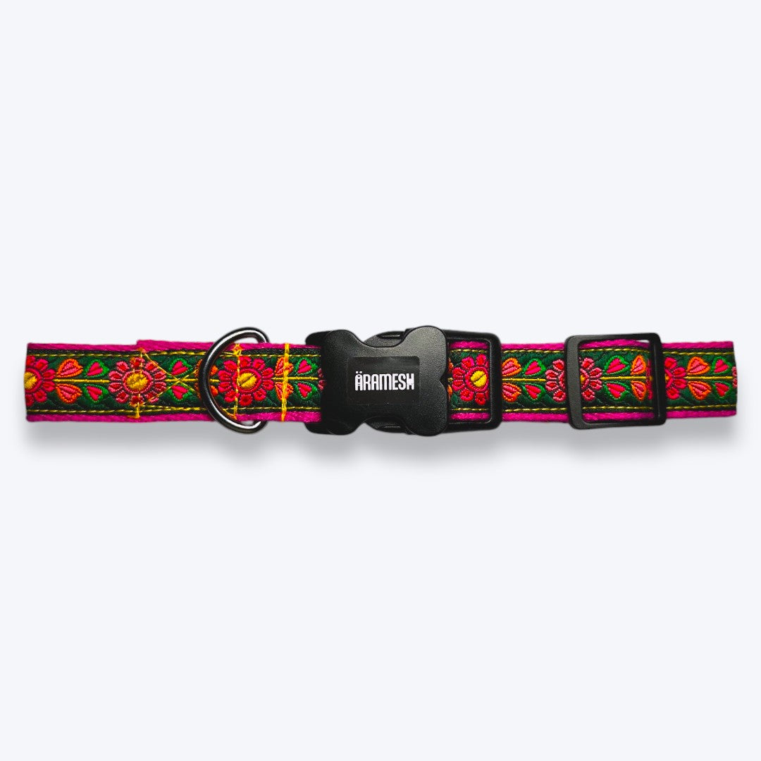 Emerald Glow Dog Collar & Leash